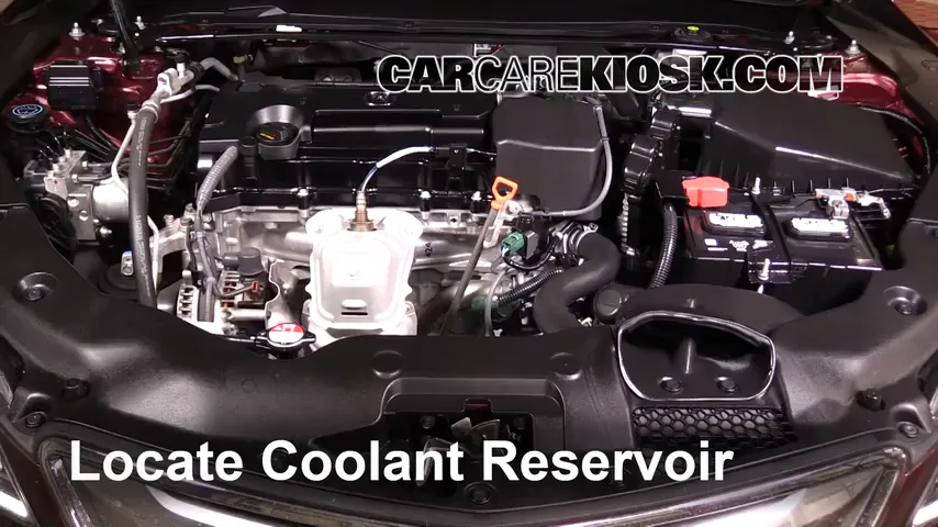 2015 Acura TLX 2.4L 4 Cyl. Coolant (Antifreeze)